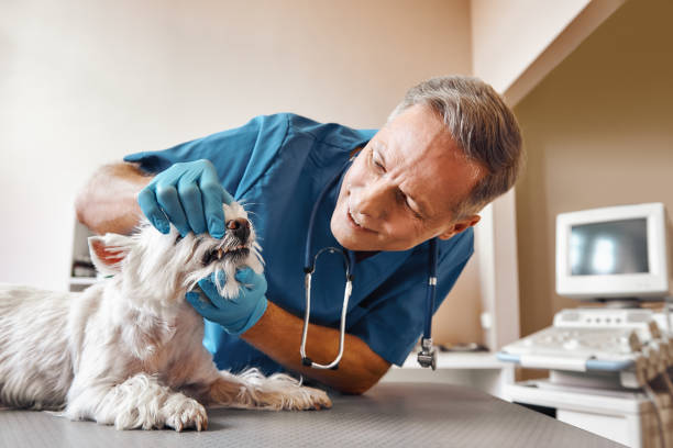 Best Emergency Wisdom Teeth Removal in Lampasas, TX